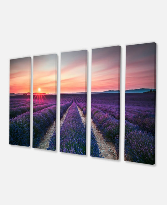 Designart Endless Rows of Lavender Flowers Modern Landscape Wall Art Canvas - 60x22 x 28x22 - 5 Panels - Blue AYC1_B6VLS68