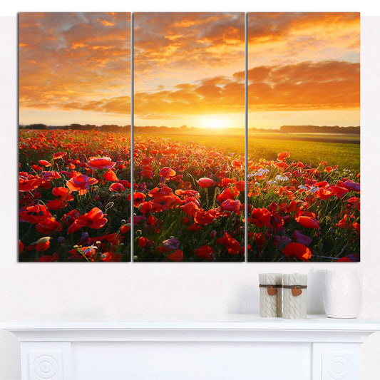 Designart &Beautiful Poppy Field at Sunset& Abstract Wall Art Canvas - 36x22x28x22 3 Panels UCR5_J0IYK67