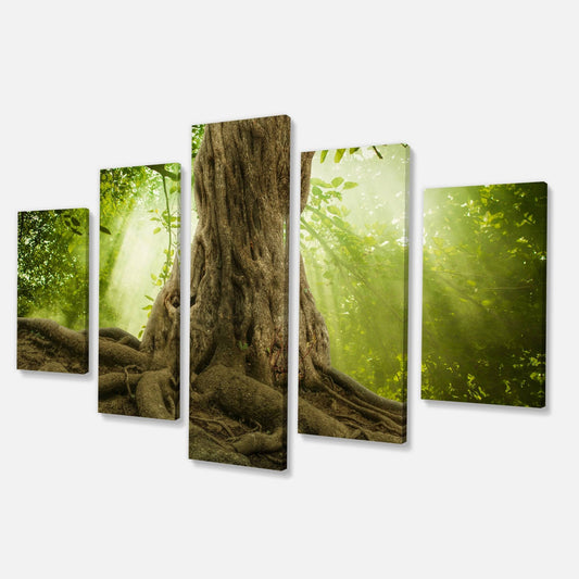 Designart Sunbeam in A Green Forest Forest Tropical Photography on Wrapped Canvas Set - 48 in. Wide x 28 in. High - 4 Panels SGC2_P5SXA19