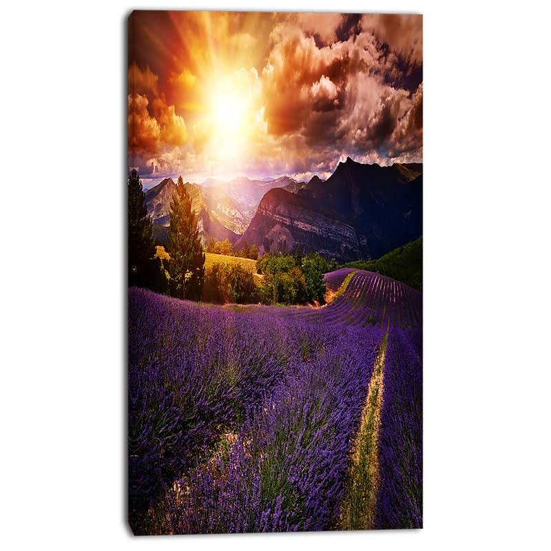 Designart Beautiful Sunset Over Lavender Field Photographic Print on Wrapped Canvas OBU9_Y2SPO80