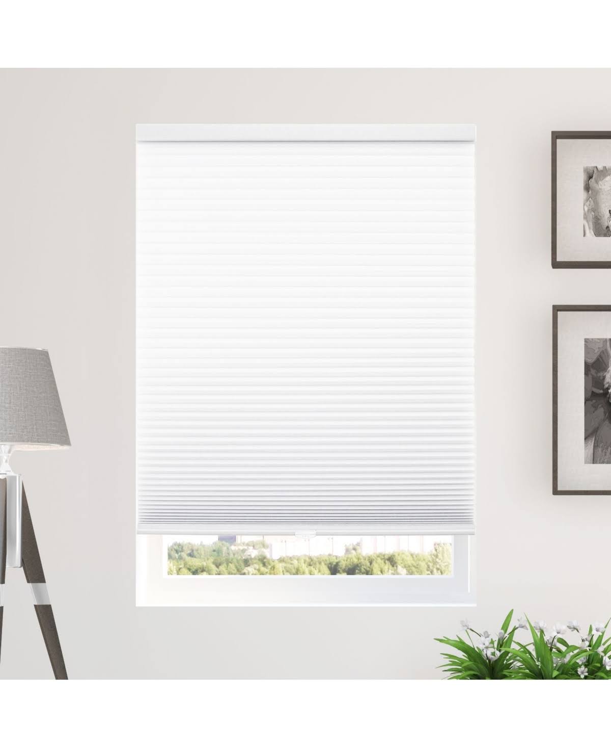 Chicology Cordless Cellular Shades Privacy Single Cell Window Blind, 64x22 W x 64x22 H, Morning Mist ERJ8_U4UYQ42