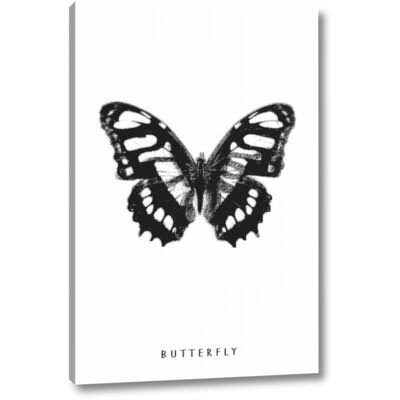 Charlton Home Butterfly by Anne Waltz Giclee Art Print on Wrapped Canvas, Size: 24 inch H x 16 inch W x 1.5 inch D, White ZWS3_M0BWX02