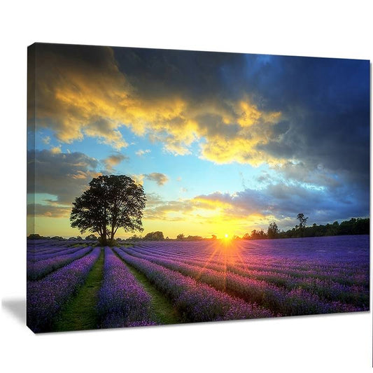 Design Art Stunning Sunset Over Lavender Fields Photographic Print on Wrapped Canvas, Purple PZU3_A0FBV86