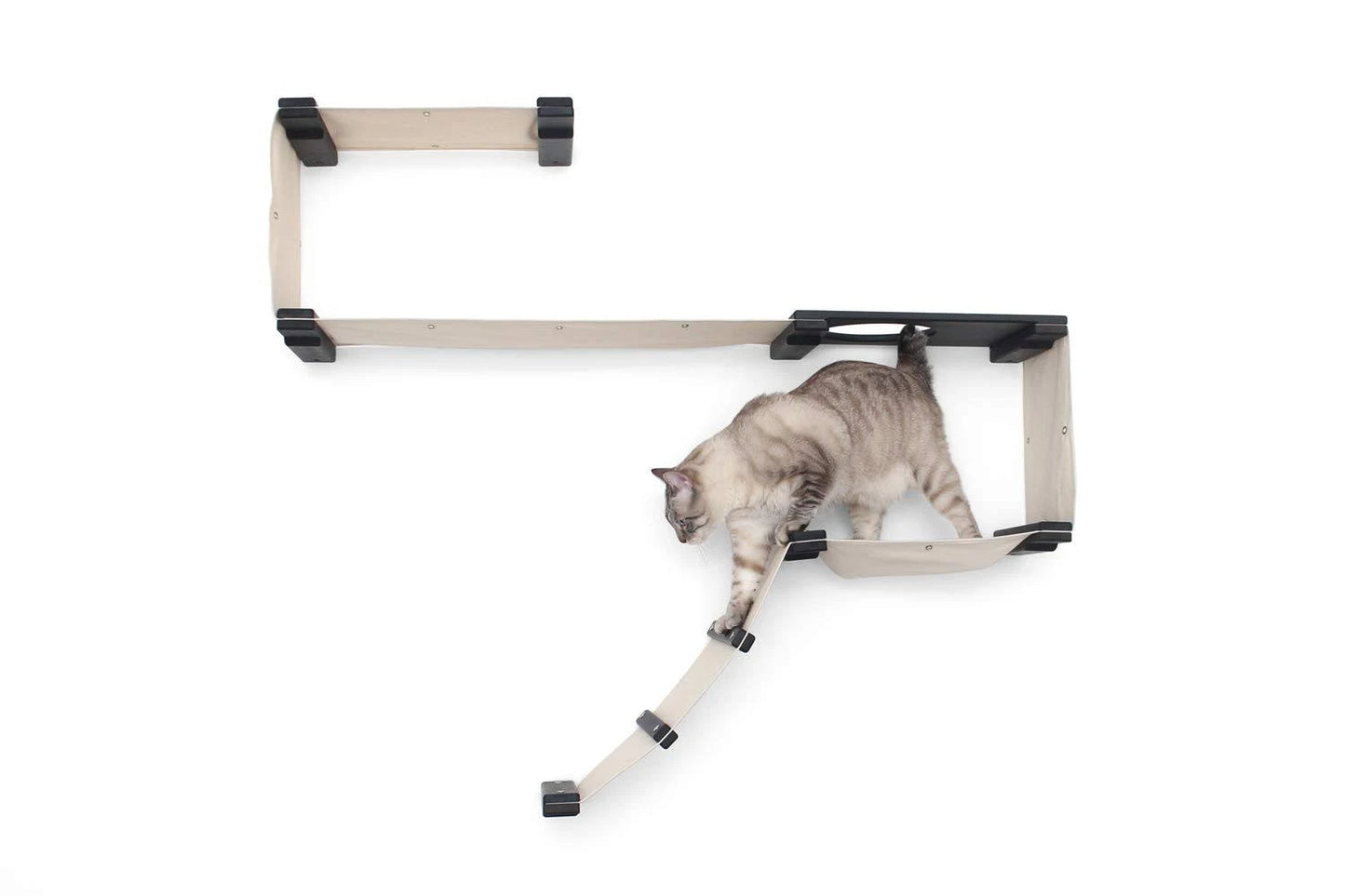 CatastrophiCreations Play - Cat Playplace Hammocks for Cats BAY4_T3NAS60