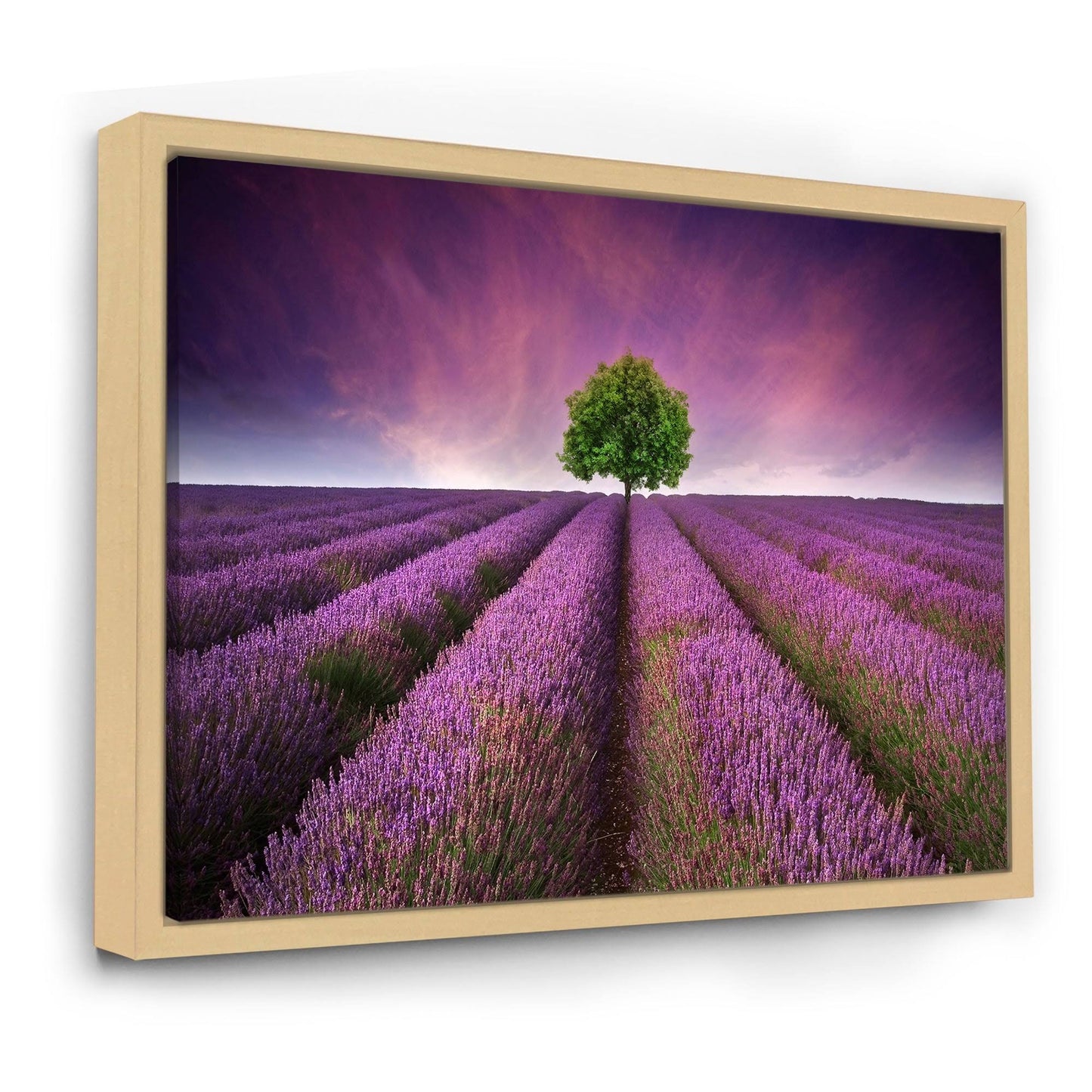 Designart &Stunning Lavender Field Summer Sunset with Tree& Farmhouse Framed Canvas Wall Art Print - 32 in. Wide x 24 in. High - FBD7_A7EYX73