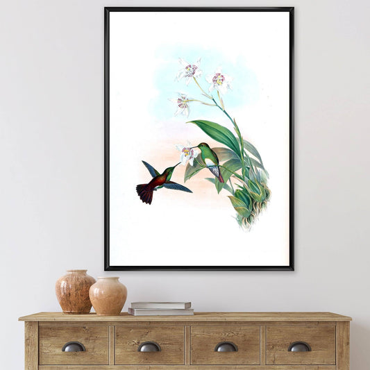 Designart Vintage Hummingbird Flying to A Flower Traditional Framed Canvas Wall Art Print - 16 in. Wide x 32 in. High - Black NXE1_D4SHT25